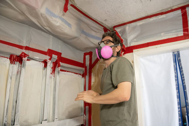 Best Basement Mold Removal  in Captain Cook, HI